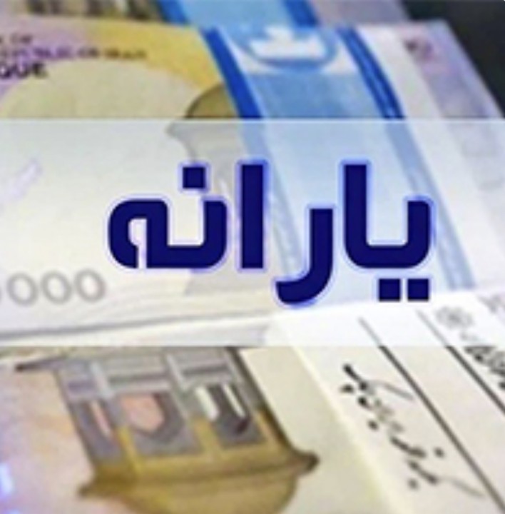 یارانه بیش از ۶.۵ میلیون مشتری بانک ملی ایران پرداخت شد