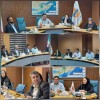 برگزاری سومین جلسه کارگروه تخصصی گسترش و تسهیل تولید در مناطق آزاد به میزبانی منطقه آزاد قشم