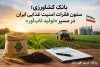 بانک کشاورزی؛ ستون فقرات امنیت غذایی ایران در مسیر «تولید تاب‌آور»